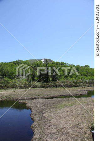 Niseko Takahara moorland Niseko Takahara moorland 23481901