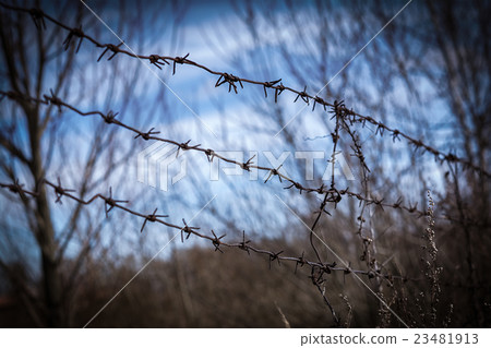 barbed wire border barbed wire border 23481913