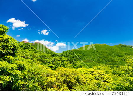 弓Gatsuru 弓Gatsuru 23483101