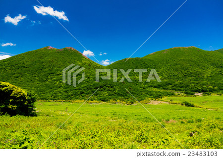 Shabun Shabun 23483103