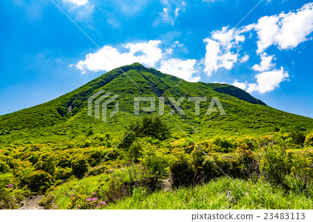 Shabun Shabun 23483113