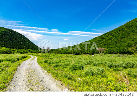 Shabun Shabun 23483148