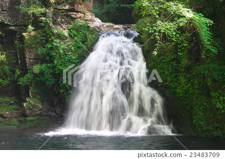 紅眼Shimpaku-taki瀑布千住瀑布（紅眼5瀑布） 23483709