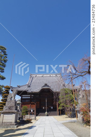 Temple of Shinshu Matsumoto Temple of Rabbit Kawaji Temple and Main Hall Shinano Prefecture Guardian Ogasawara Temple was tempted by Warring States Temple at the time of praying 23484736