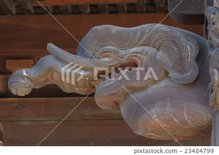 Shinshu Matsumoto的寺廟擴展兔子的雕塑走向兔子Kawa寺的主殿Tachikawa Ryo Fujimori Hiroaki的作品 Shinshu Matsumoto的寺廟擴展兔子的雕塑走向兔子Kawa寺的主殿Tachikawa Ryo Fujimori Hiroaki的作品 23484799