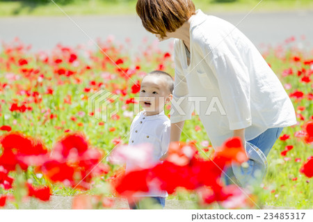 Mother and son playing in flower garden Mother and son playing in flower garden 23485317