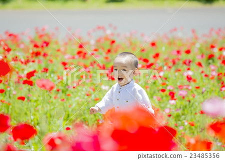 Boys playing in the flower garden of the park Boys playing in the flower garden of the park 23485356