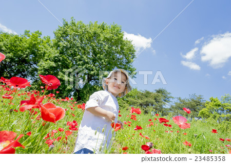 Boys playing in the flower garden of the park Boys playing in the flower garden of the park 23485358