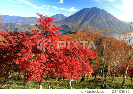 View of autumnal leaves of Oku-Nikko and Shinkansen and view of Mt. 23485681