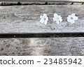 Sakura space exists Natural board background 23485942