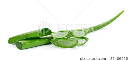 aloe vera leaf  isolated 23486936