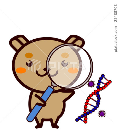 研究動物系列 23488708