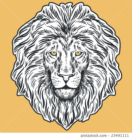 Hand drawn lion head illustration Hand drawn lion head illustration 23491111