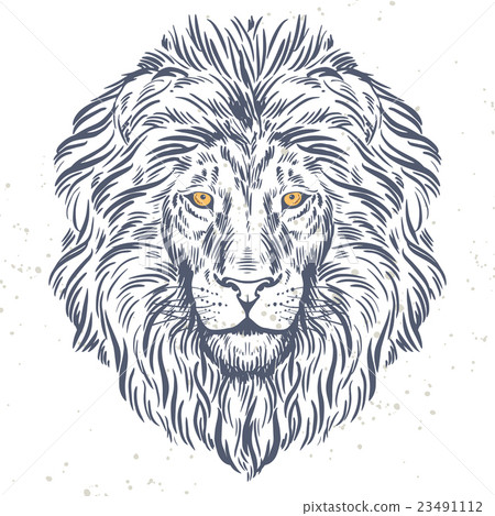 Hand drawn lion head illustration Hand drawn lion head illustration 23491112
