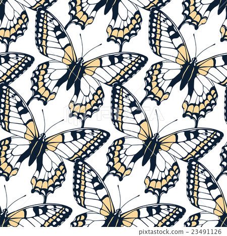 Seamless pattern with butterflies Seamless pattern with butterflies 23491126