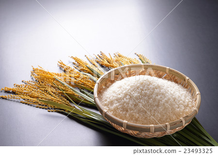 Koshihikari rice (from Uonuma) 23493325