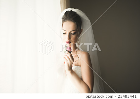 Luxury bride on the morning of wedding day 23493441