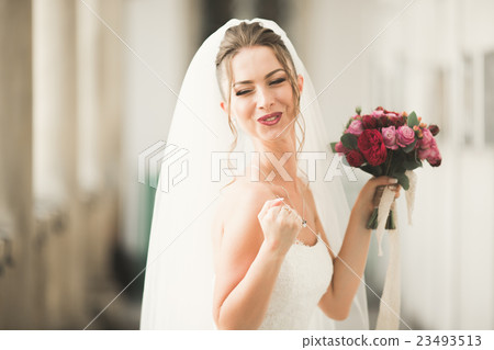 Wonderful bride with a luxurious white dress 23493513