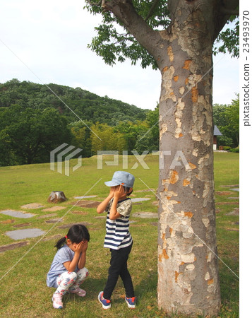 hide-and-seek hide-and-seek 23493970