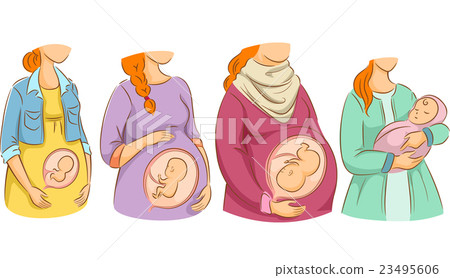 Girls Pregnancy Stages Chart Girls Pregnancy Stages Chart 23495606
