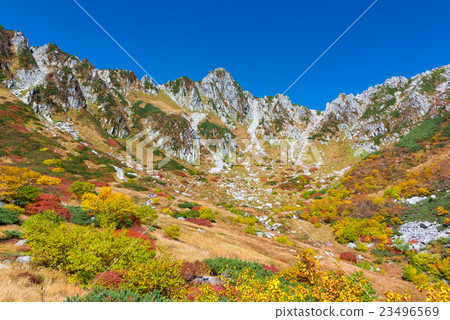 Autumn leaves of Senjojiki Karl Autumn leaves of Senjojiki Karl 23496569