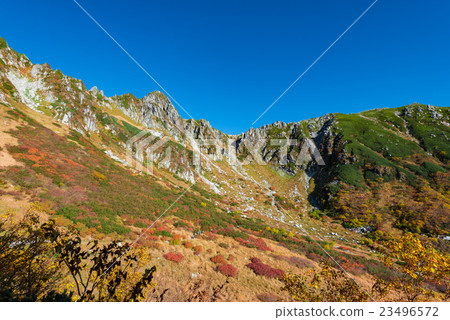 The autumn of Senjyo Kiki 23496572