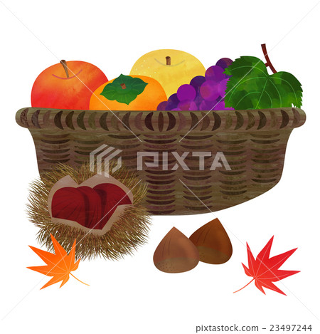 Autumn taste 23497244