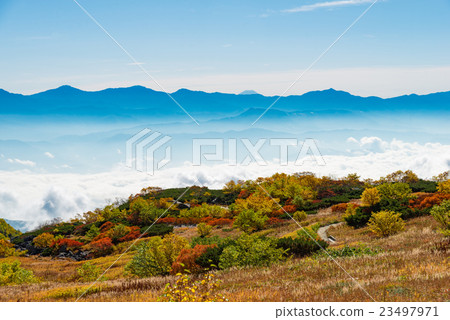 Mt. Fuji from Senjojiki 23497971
