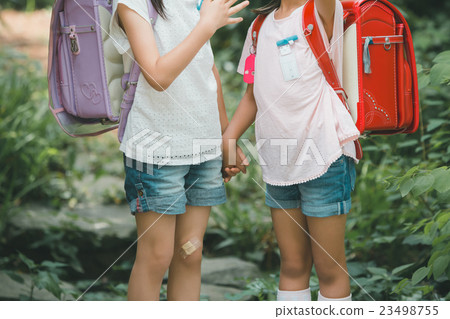 elementary student, primary school child, primary school student 23498755