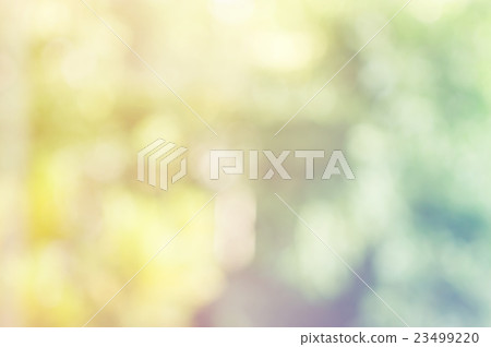 Blurred of natural plants background. 23499220