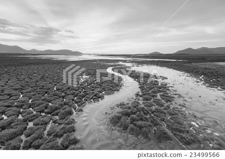 Black and White, Small waterway Black and White, Small waterway 23499566