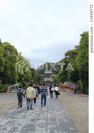 Inside of Tsuruoka Hachimangu Shrine 23499772