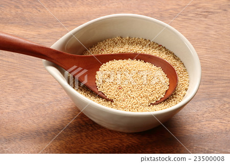 Amaranthus Amaranthus 23500008