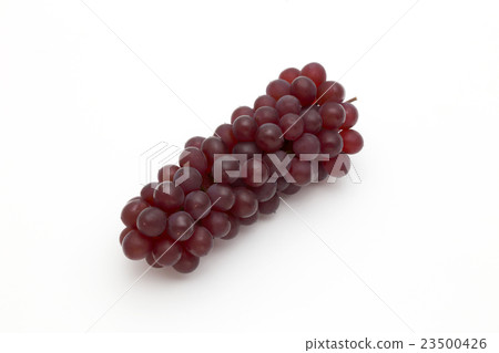 Grape Grape 23500426