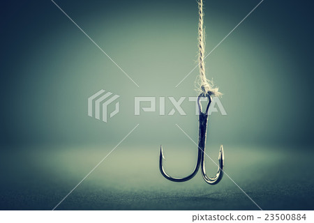 Fishing hook 23500884