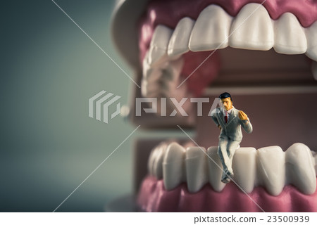 牙齒和商人 牙齒和商人 23500939