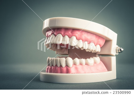 Tooth model 23500990