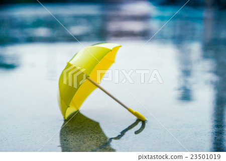 umbrella umbrella 23501019