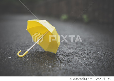 umbrella umbrella 23501030