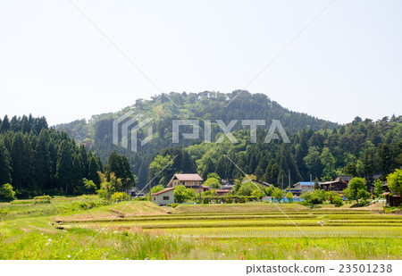 Kasugayama Castle Ruins 23501238