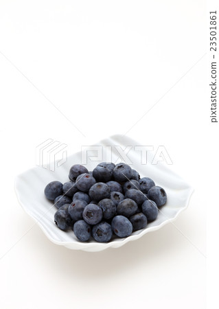 blueberry 23501861