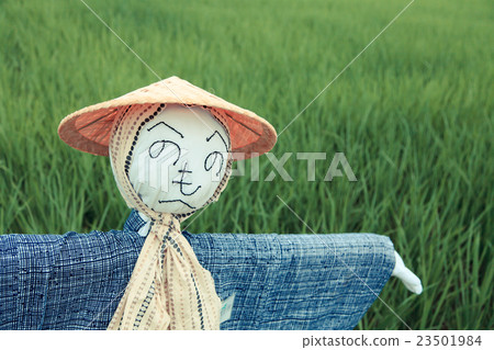 Scarecrow of Numanuma rice field 23501984