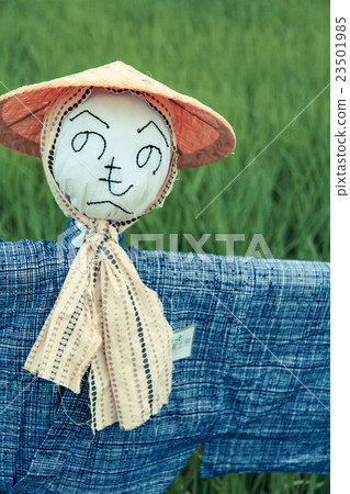 Scarecrow of Numanuma rice field 23501985