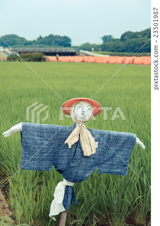Numanuma稻田稻草人 Numanuma稻田稻草人 23501987
