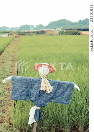 Numanuma稻田稻草人 Numanuma稻田稻草人 23501988