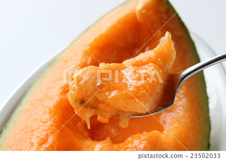 Yubari Mellon 23502033