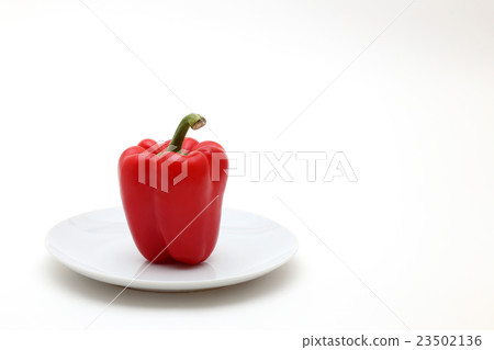 辣椒 辣椒 23502136