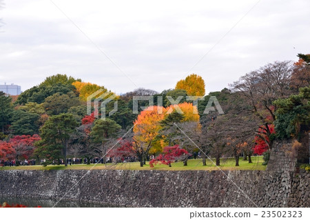 The autumnal landscape seen from the Imperial Palace Kitakyushu-monoma 23502323
