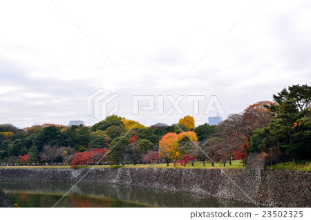 從皇宮北九州單子看到的秋季景觀 從皇宮北九州單子看到的秋季景觀 23502325