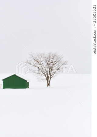 Biei · Winter (184) 23503523